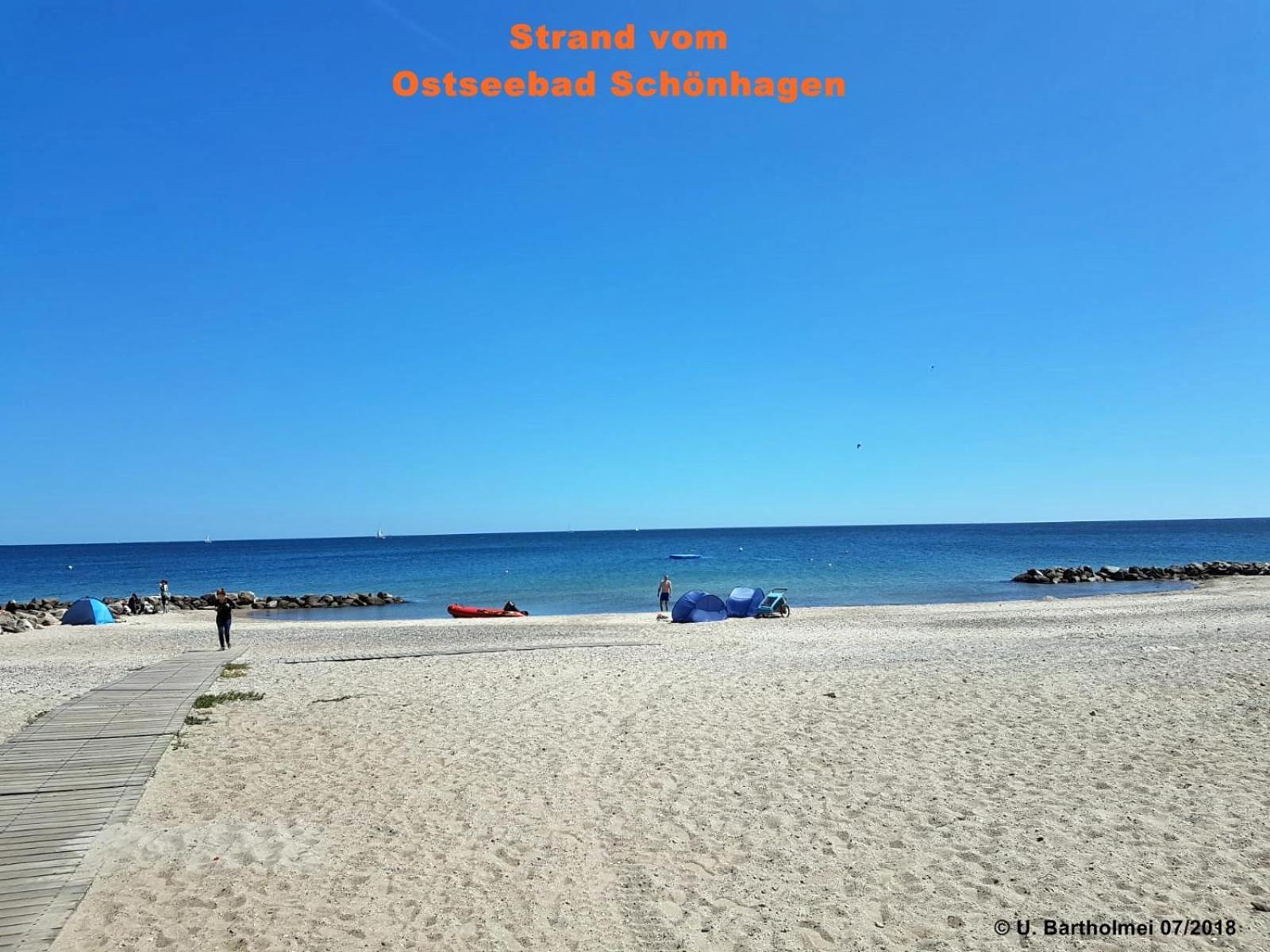 Strandgut - * Schonhagen (Schleswig-Holstein)