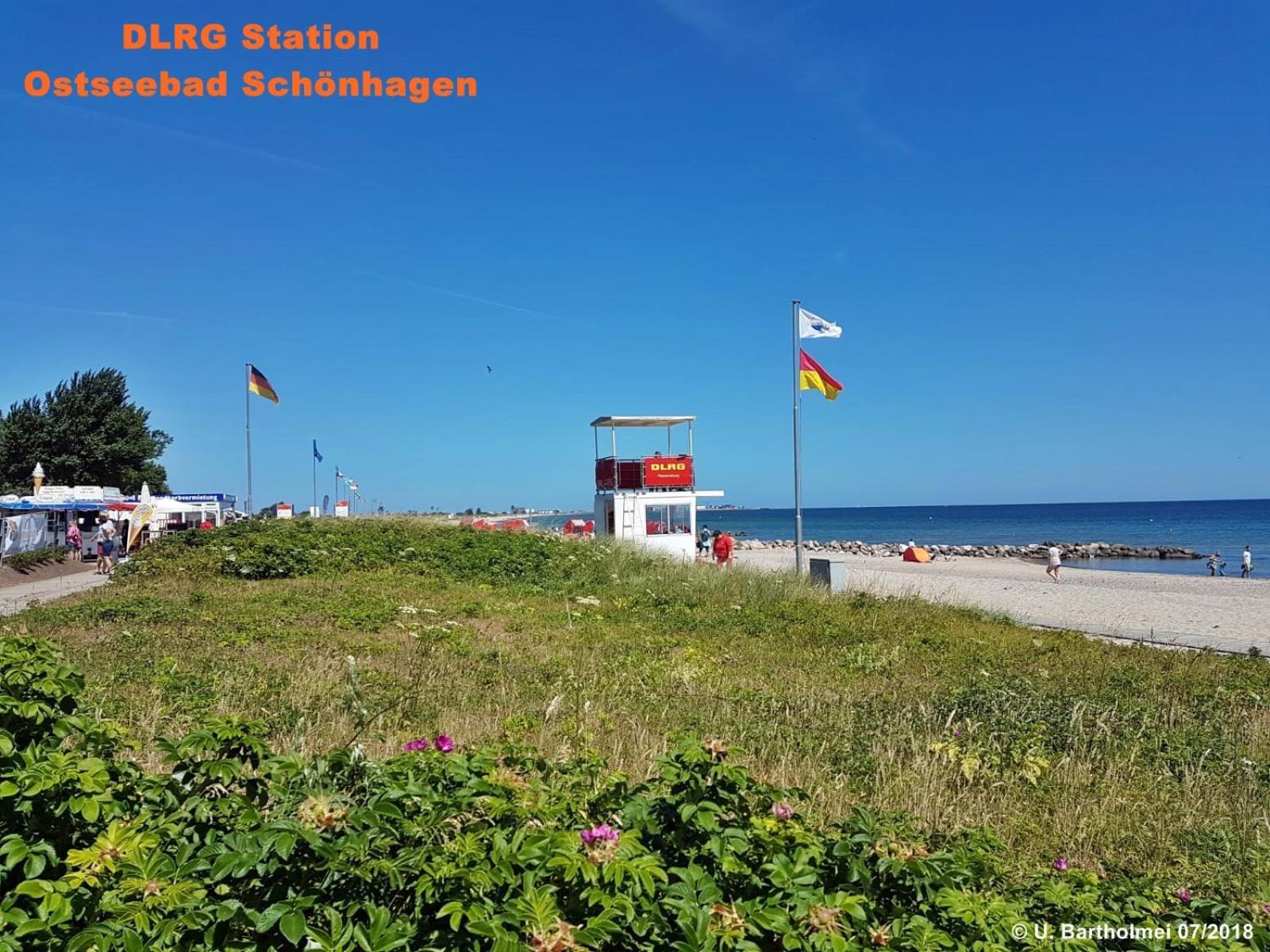 Strandgut - *